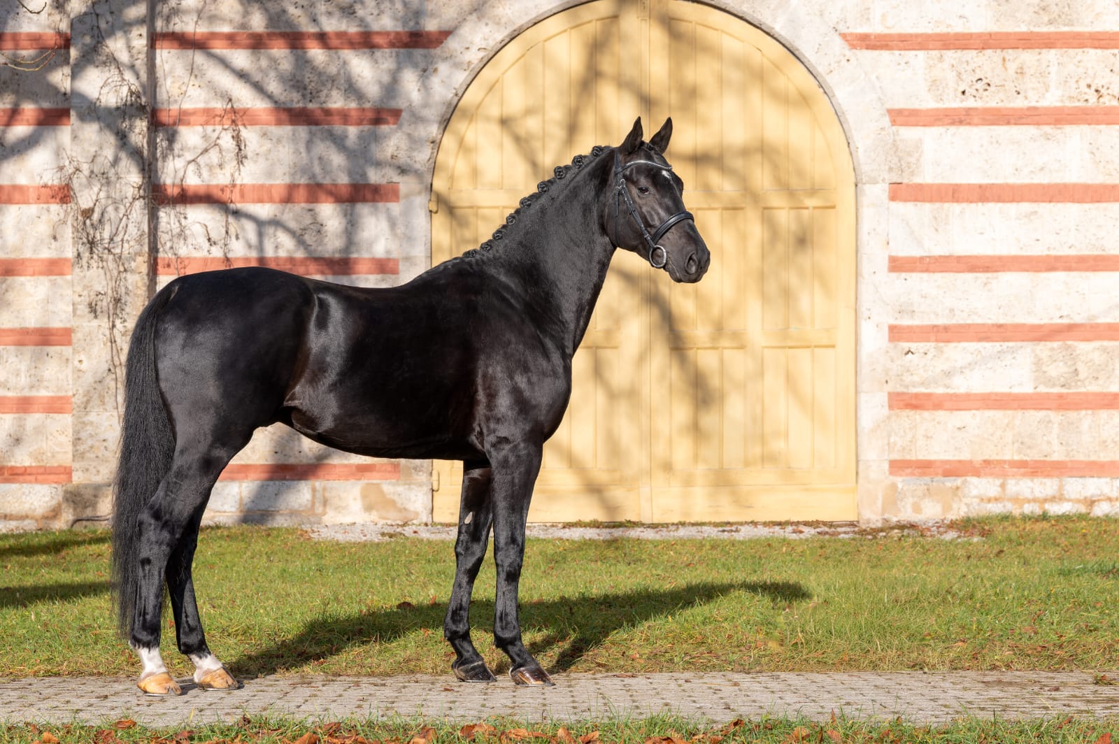 Solomeo Foto von Kube