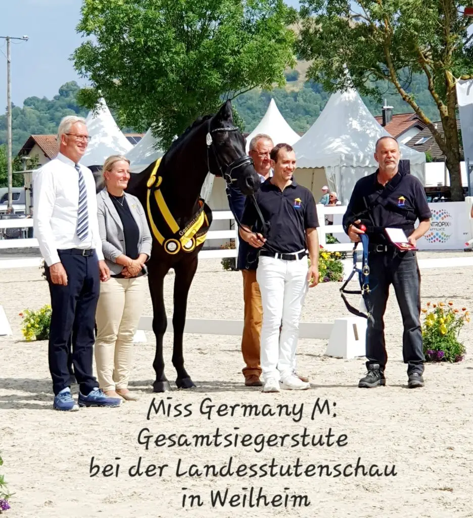 Wir gratulieren unserem Züchter Reinhold Marschall zur Landessiegerstute 6 IMG 20230721 WA0010