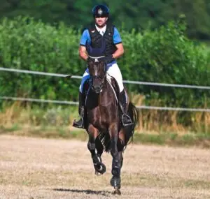 Startseite 2 equistock 11 Eignungsprfg Kl A 133 M web2